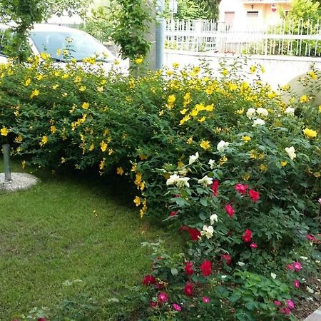 Casa Nanny Appartamento Monzambano Esterno foto
